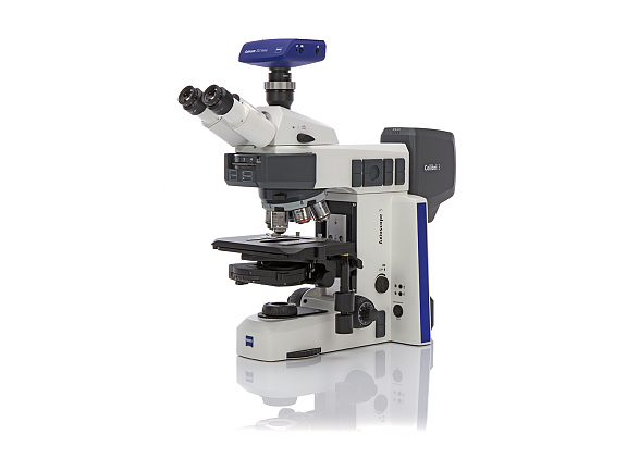 Zeiss Axioscope Mikroskop