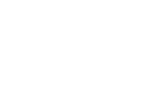 Zeiss Stemi 305 TR