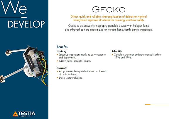 Testia Gecko