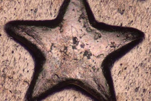 Zeiss Axioscope Gorumtu