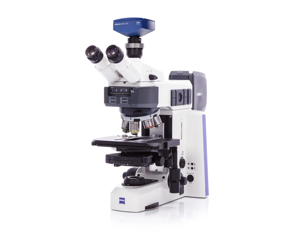 Zeiss Axioscope 5 Axiocam 305 Color